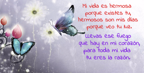 postal con mariposas y frases de amor