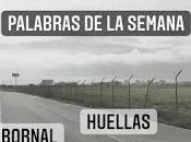 Reto literario semanal