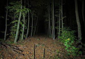 Nadia Bulkin: Ella dijo Destruye