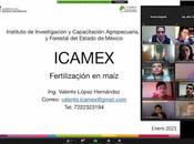 Capacita ingenieros agrónomos manejo maíz mexiquense