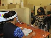 Brinda secretaría trabajo asesorías para conformación sociedades cooperativas