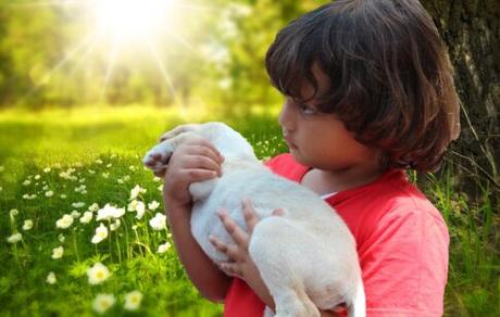 La primavera y las alergias