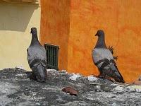 LA CIUDAD DENTRO DE LA CIUDAD