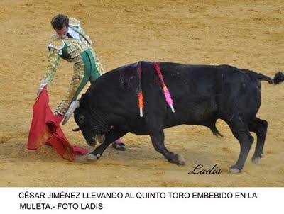 FERIA DE VILLANUEVA DE CÓRDOBA: TARDE DE TOROS SIN HISTORIA