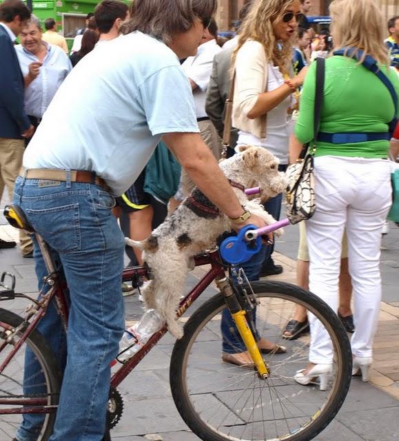 Vacaciones por León y alrededores