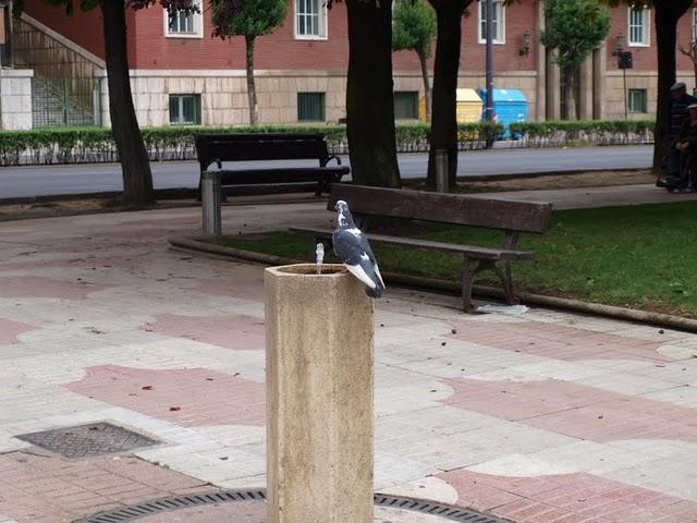 Vacaciones por León y alrededores