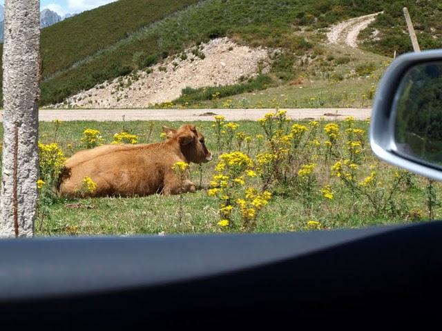 Vacaciones por León y alrededores