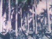 Cuba contra bandidismo