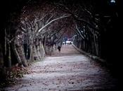 Arboles