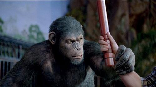 Rise-of-the-Planet-of-the-Apes-2011-Movie-Image-6-800x448