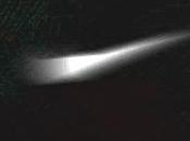 Privalia Compras Internet