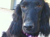 años todo pasado pobre