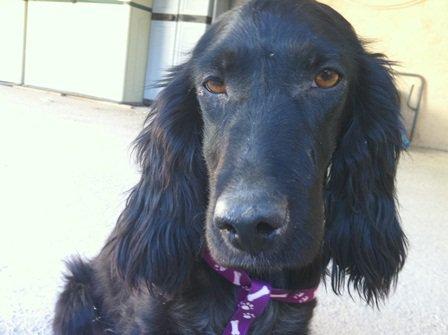 Dos años y todo lo que ha pasado la pobre