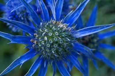 81. MI EXPERIENCIA DE ÉXITO CON EL MÉTODO DE GLENN DOMAN