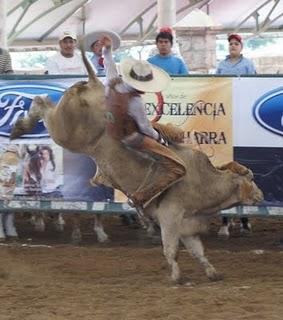 Tres Regalos, cierra con 353