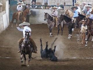 Tres Regalos, cierra con 353