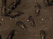 creacionismo deja huella