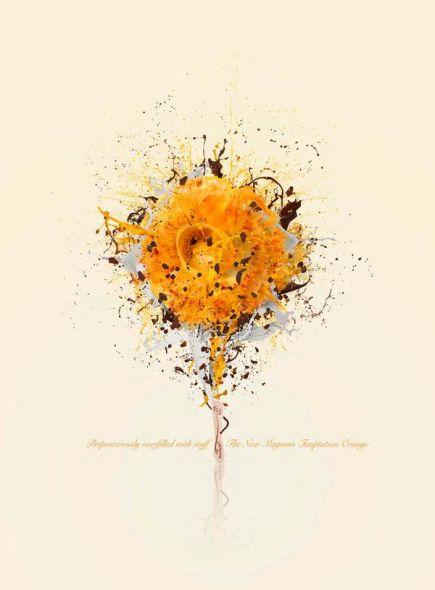 Explosiones de color y sabor en las nuevas gráficas de Magnum