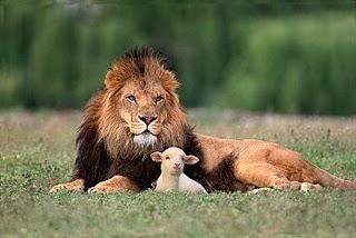 ¿Dónde está el sagrado corazón de Jesús? “Y reposará sobr...