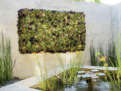 Decoración de Plantas