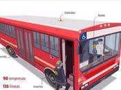 Radiografía colectivo porteño, Nación Line