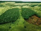 Amazonas, pulmón Madre Tierra