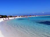 Cómo elegir “Bebé Verano”