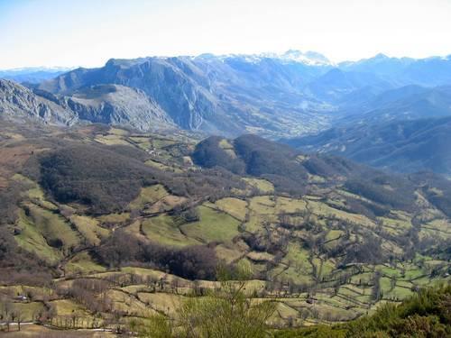 La abuela Estrella hornea el pan de escanda.  Por Max.