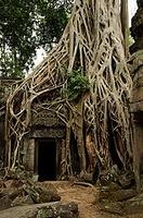 Angkor, Camboya