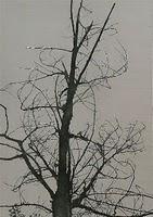 GALERÍA NOLDE, EXPOSICIÓN NACIDOS EN LOS 70: UNA BUENA FORMA DE ACERCARSE AL REALISMO EN LA PINTURA.