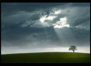 Miedo, caos, violencia… esperanza