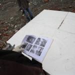 1309723020 8521 150x150 street art