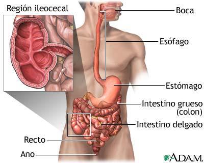 Modalterna.Salud y Belleza. El Crohn Ataca