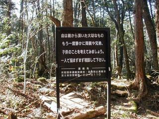 El Bosque de Aokigahara