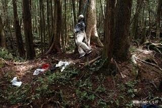 El Bosque de Aokigahara