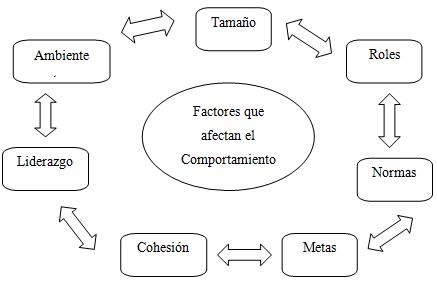 Factores que afectan el comportamiento de los grupos.