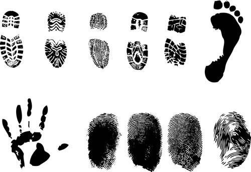 Derechos e izquierdos