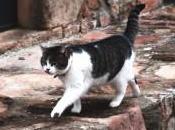 Luna llena… silencio