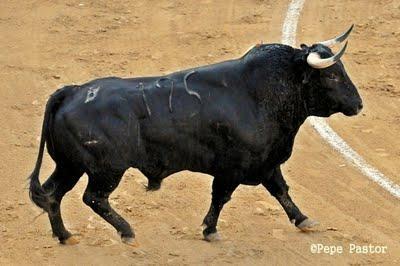Toros en la Malagueta