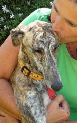 Una cicatriz en el corazón, una lágrima interminable . Leala