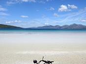 Playas Escocia