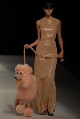 Hasta la vista, Jesús del Pozo Hasta la vista, Jesús del Pozo