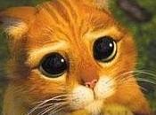 Cómo solicitar favores