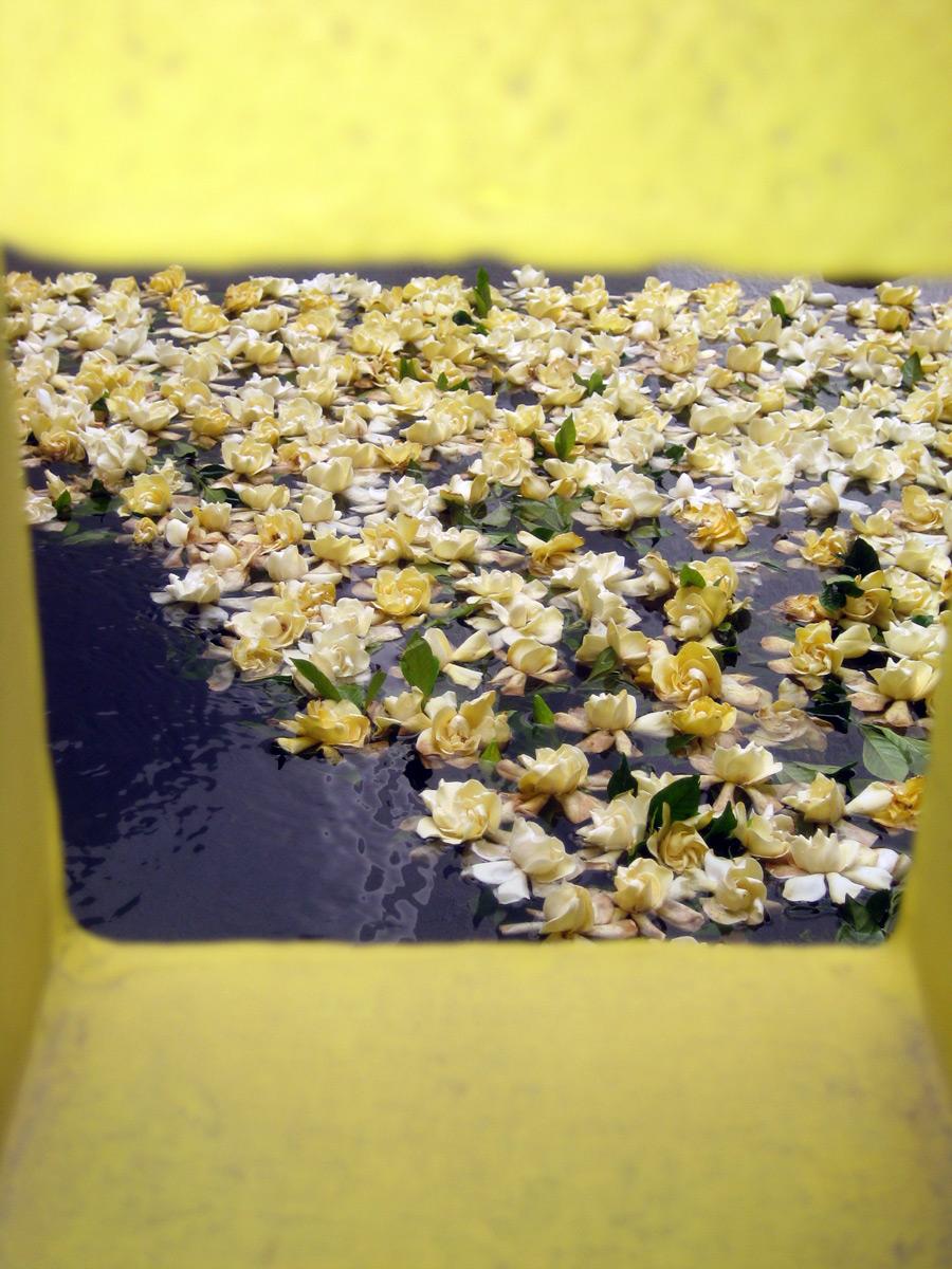 Un Paseo por Tierras Mexicanas, en la Mirada de Luis Doucet