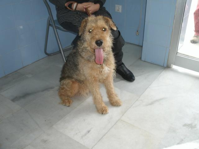 Novedades de Rastas :)