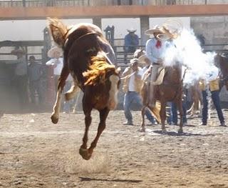 Pialadero y Coleadero de Excelencia