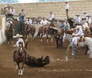 Pialadero y Coleadero de Excelencia
