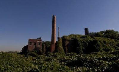 Riverside Hospital, North Brother island.