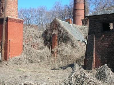 Riverside Hospital, North Brother island.