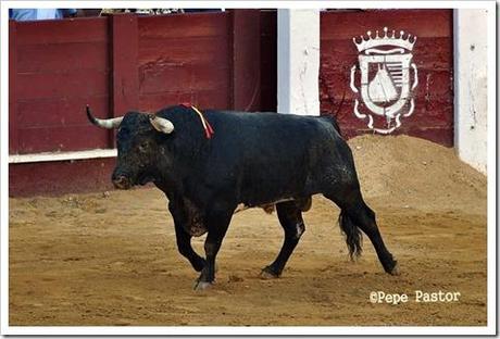 El primero quinta El primero quinta